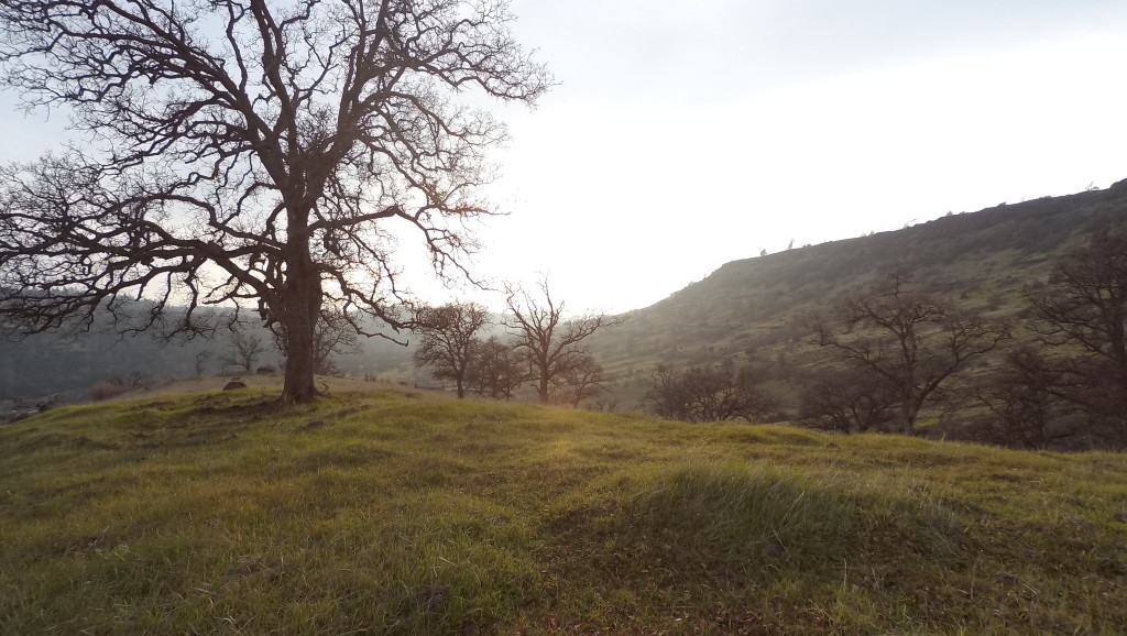 Upper Bidwell Park, Chico